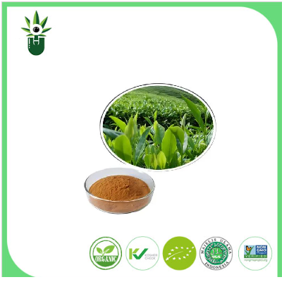 প্রাকৃতিক গ্রিন টি এক্সট্রাক্ট 98% এল