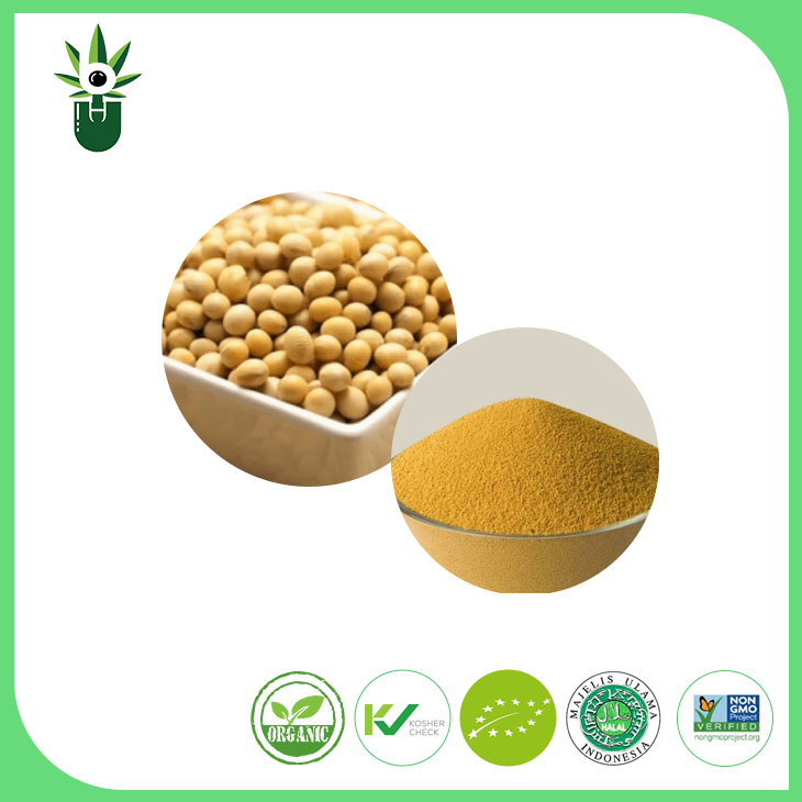 নন-জিএমও সয়াবিন এক্সট্রাক্ট পাউডার 90% সয়া আইসোফ্লাভোনস